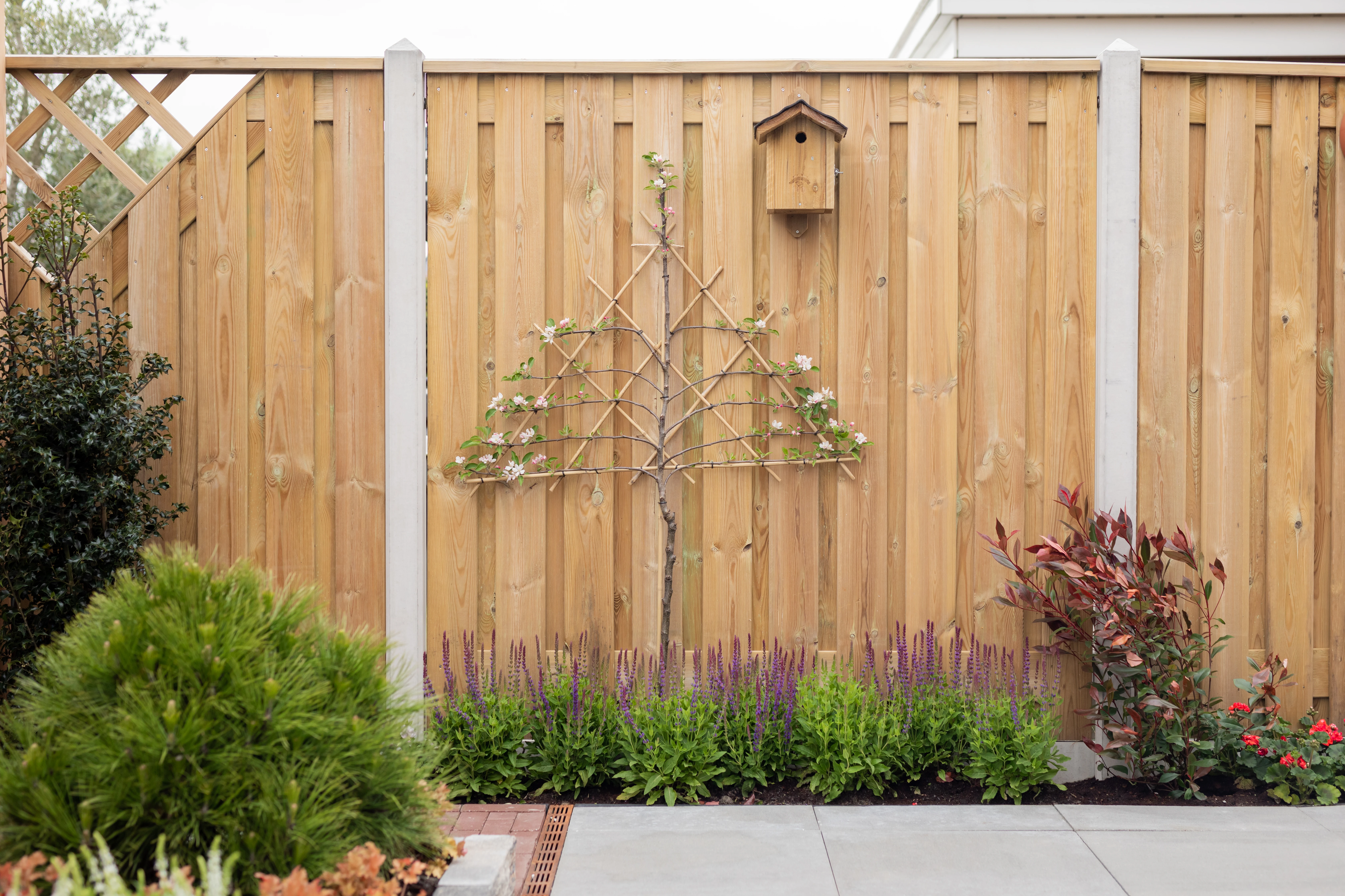 Vuren Schutting 21-Planks Geschaafd Groen Geïmpregneerd 180 x 180 cm - Afbeelding 2